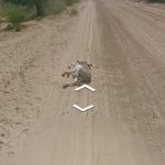 Google Street e il mistero dell'asino 5