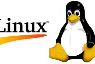 Professionisti Linux cercasi 18