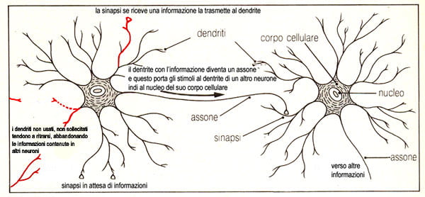 inv046