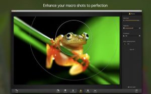 screen800x5001
