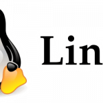 Distro Linux, la classifica 3