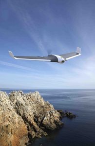 2.Parrot Disco_Lifestyle