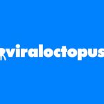 Nasce la piattaforma dei talenti digitali: il caso di Viral Octopus 8